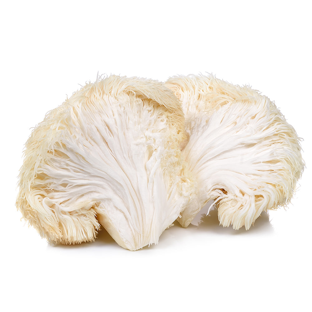 Lion's Mane Mushroom Powder Organic