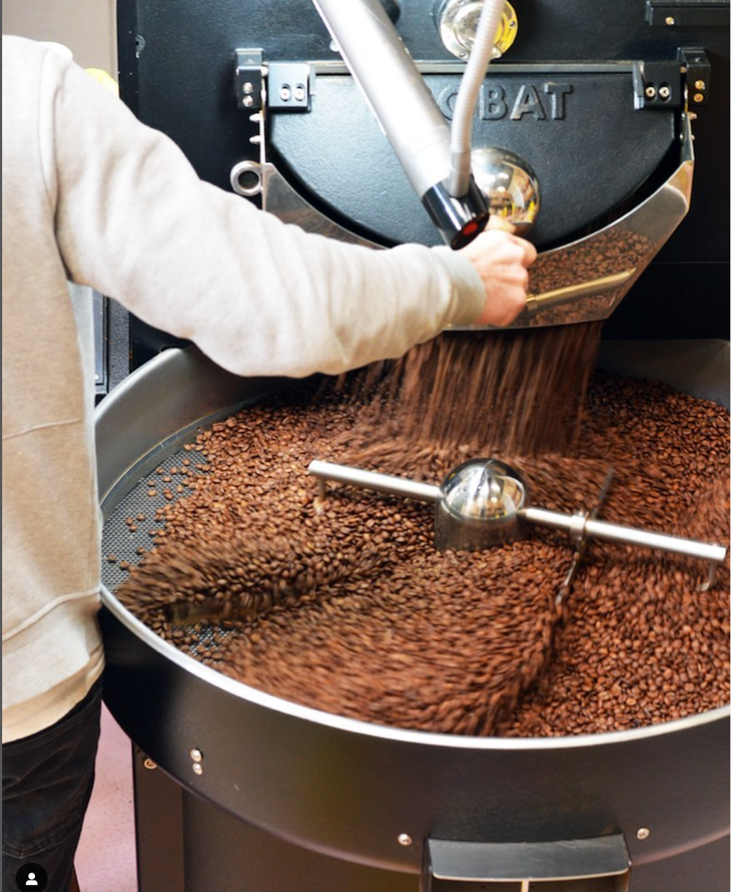 Coffee Beans El Salvador ( Finca El HORNO farm)