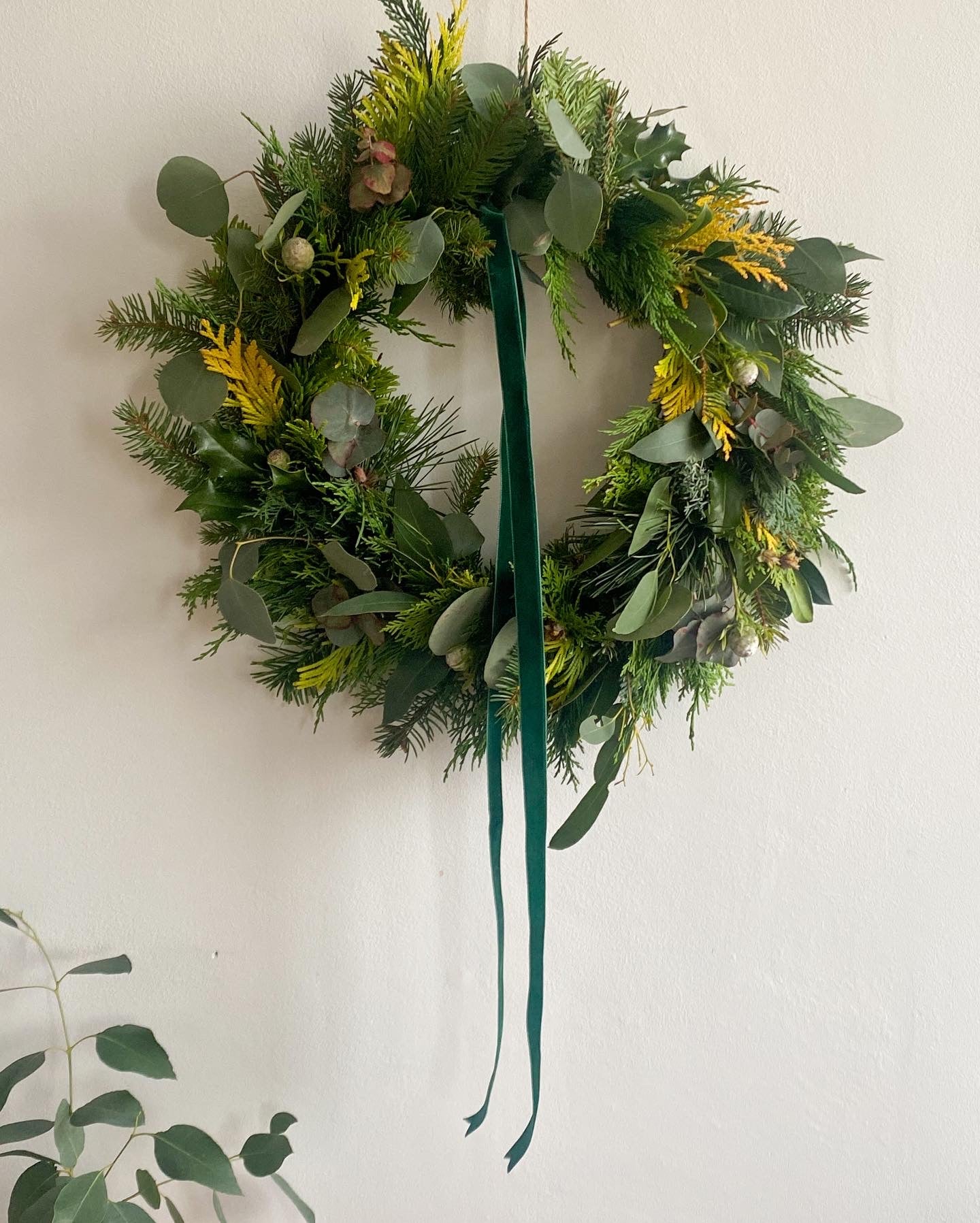 Make Your Own Natural Christmas Wreath (06.12.22)