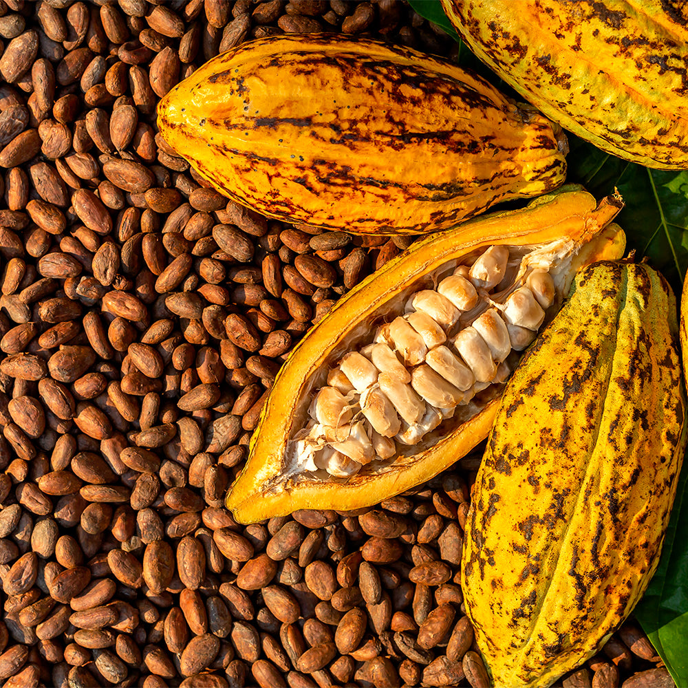 Cacaopoeder Rauw Biologisch