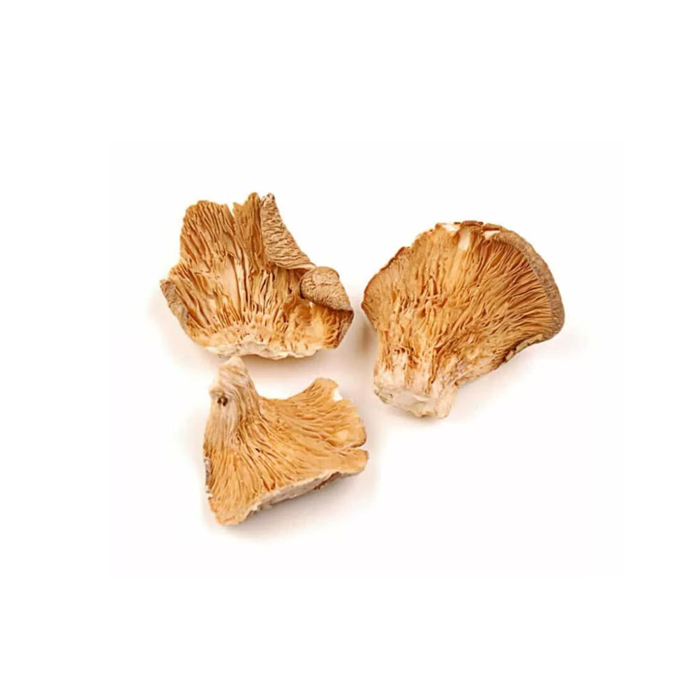 Dried Golden Oyster Mushrooms
