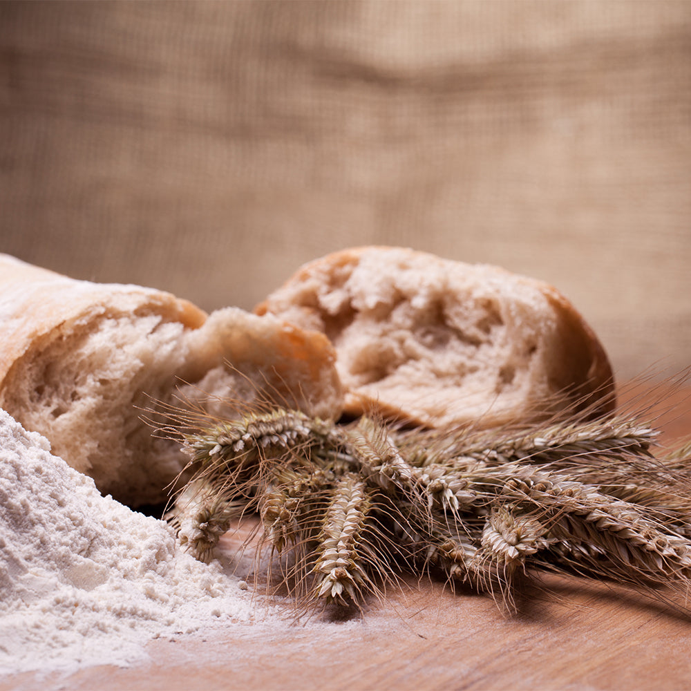 Whole Wheat Flour Organic